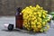 Tansy essential oil in a glass bottle and fresh blooming Tanacetum vulgare plant on old wooden background.