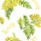 Tansy Tanacetum vulgare, common tansy, bitter buttons, cow bitter, golden buttons stem with flowers and leaves, seamless pattern