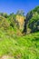 Tanur waterfall, wildflowers, in the Ayun Stream Nature Reserve