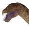 Tanystropheus Dinosaur Head