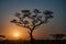 Tanzania, Africa, animal and landscape, sunset, sunrise