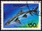 TANZANIA - CIRCA 1993: A stamp printed in Tanzania from the `Sharks` issue shows Whitetip reef shark Triaenodon obesus