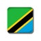 Tanzania flag  button icon isolated on white background