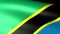 Tanzania Flag Waving