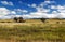 Tanzania meadows