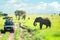 Tanzania, Serengeti national park - January 03, 2020: Tourists on African wildlife safari.