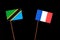 Tanzanian flag with French flag on black