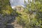 Taormina - The cross way path under the castle Castello Saraceno