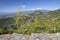 Taormina - The path among the spring mediterranean flowers and the Mt. Etna volcano