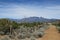 Taos Dream Vista with TeePee bones