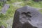 Tapak maung or tiger footprints on a stone in mount padang (gunung padang) megalithic site Cianjur, West Java