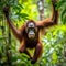 A Tapanuli orangutan swings from branch to branch. Generative AI