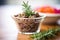 tapenade in a glass bowl with a sprig of rosemary on top