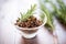 tapenade in a glass bowl with a sprig of rosemary on top