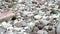 Tapered and rounded pebbles on the shore of the river in Norther