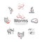 Tapeworms banner. Symptoms. Line icons set. Vector signs for web graphics.