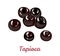 Tapioca black pearls for bubble tea isolated on white background. Vector illustration of Tapioca balls