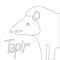 Tapir vector illustration coloring book lining draw