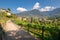The Tappeiner Promenade in Merano Italy offers great city views