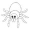 Tarantula Animal Coloring Page Isolated for Kids