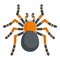 Tarantula icon, cartoon style
