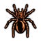 Tarantula spider mascot