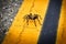Tarantula spider road