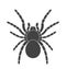 Tarantula, vintage engraved illustration