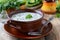 Tarator - traditional bulgarian summer cold soup with cucumbers and yogurt