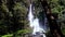 Tarawera Falls, North Island New Zealand