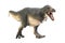 Tarbosaurus  Dinosaur on white isolate background Clipping path