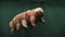 Tardigrade, swimming water bear