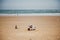 Tarfaya, Morocco - January 18, 2020: Father with sons have fun playing in the sand on the ocean coast