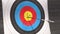 Target for archery shooting. Arrow hitting the target. Hit the goal, success and achievement concept.