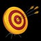 Target hit in the center by three arrows bull`s-eye archery shooting