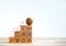 Target icon on wood ball on top of wooden cube blocks stair steps with strategy marketing action plan icons.