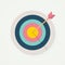 Target with perfect aim arrow. Vector illustration for target market , audience and consumer, success, perfection.