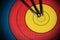 Target with Three Arrows - Archery Sport