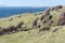 Tarifa coastline