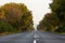 Tarmac country road along trees and against clear sky