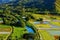 Taro fields in beautiful Hanalei Valley