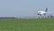 Tarom plane landing on runway, spring