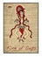 The tarot cards in red. King of cups