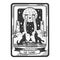 Tarot playing card Moon sketch vector