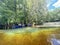 A tarp holds back the tannic Sante Fe river from Rum Island spring, Florida