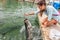 Tarpon feeding in the Keys in Florida. Asian tourist girl having fun on vacation travel feeding big tarpons fish jumping