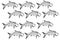 Tarpon fish artsy design pattern