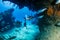 Tarpon in a small cave with SCUBA Diver