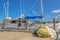 TARPON SPRINGS, FLORIDA - JUNE 30, 2019: Net full of sponges by a boat on the sponge docks
