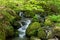 Tarr Steps in Exmoor National Park